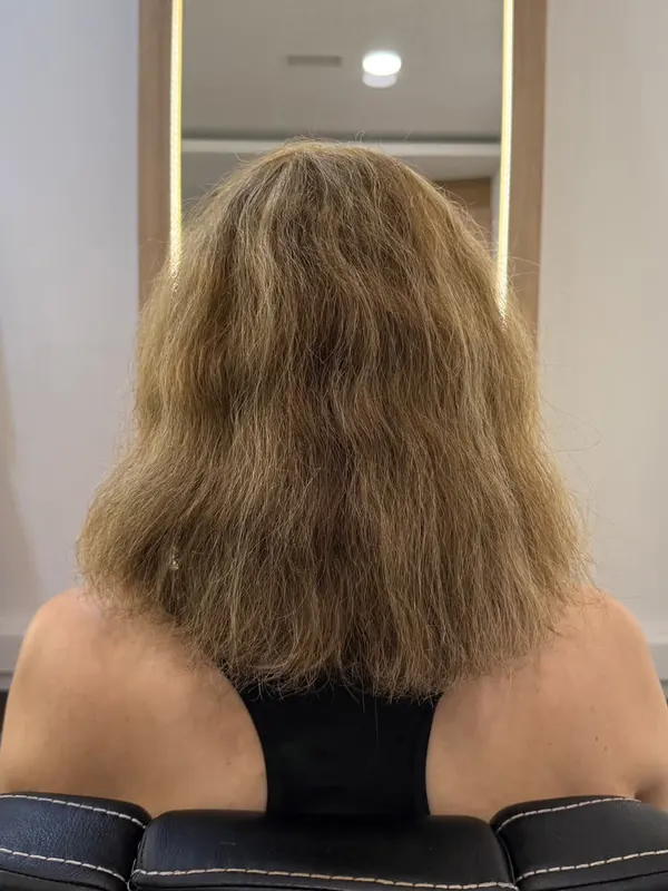 Cabelo com frizz e sem desenho, antes do atendimento